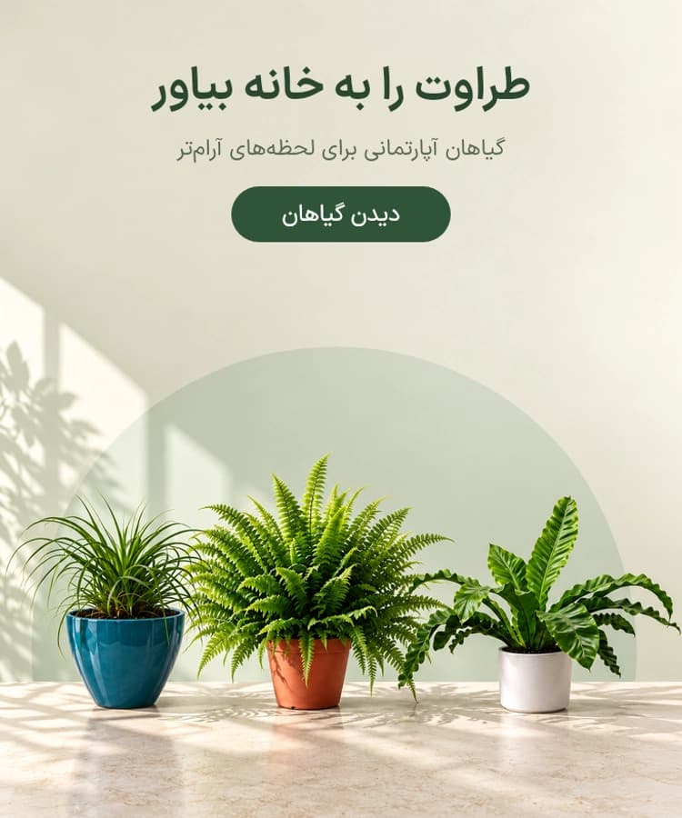 بنر